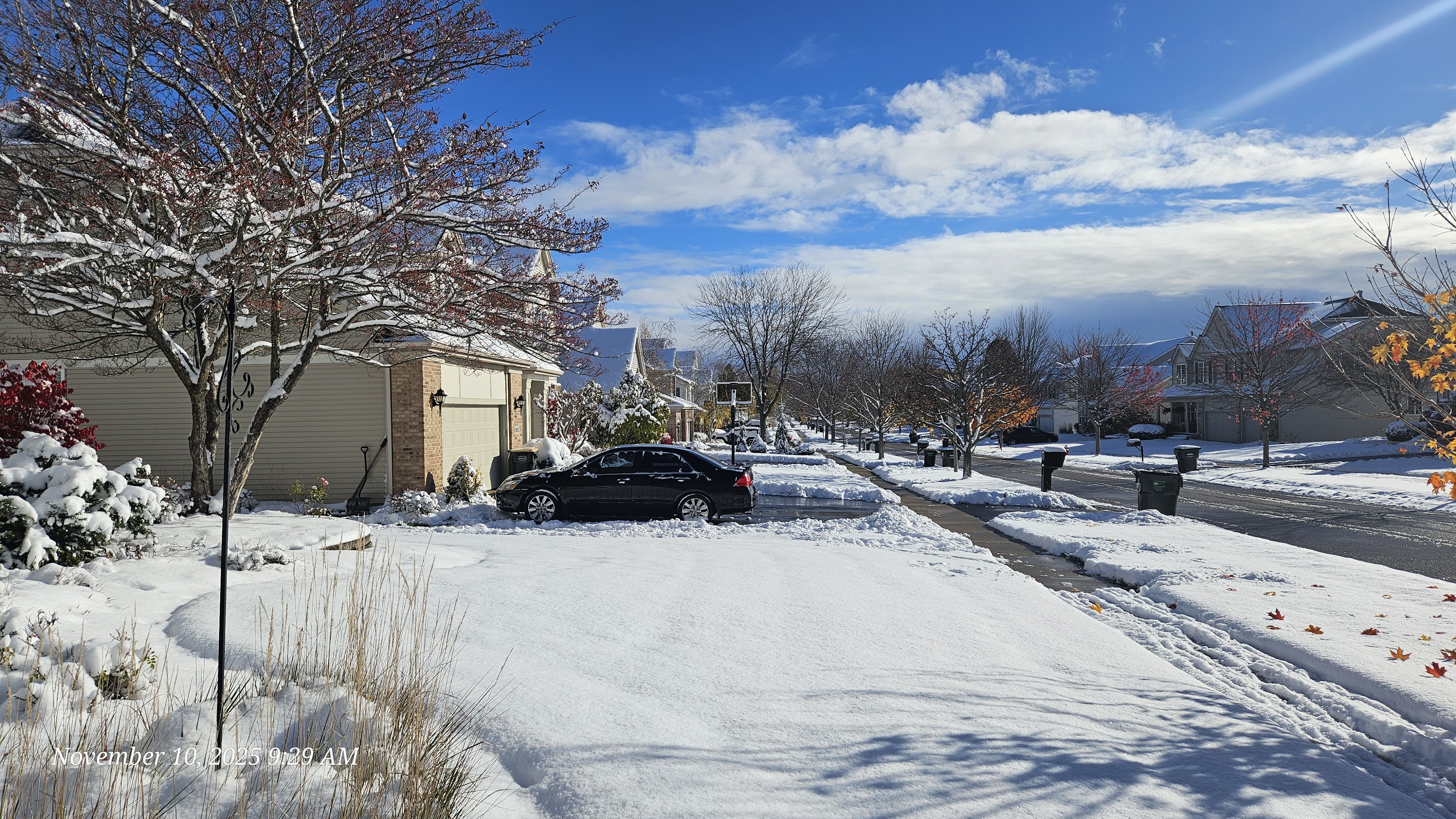 snow inNov